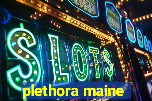 plethora maine